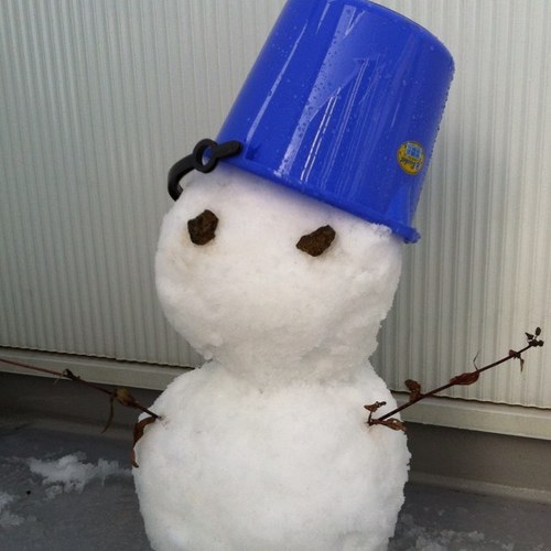 mikitty109's profile picture. 