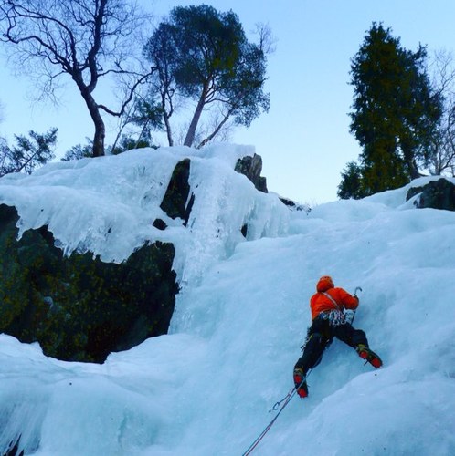 MrRileyEsq's profile picture. 