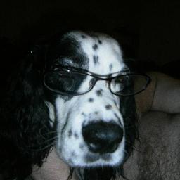 lynnrafe's profile picture. 