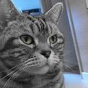 Eleni Long - @EleniLong - Twitter