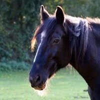 carol reid π (@taylortigs) 's Twitter Profile