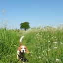 karen garside - @kagsyg - Twitter