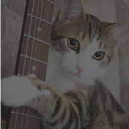 muzisyenkedi's profile picture. MUSICIAN CAT