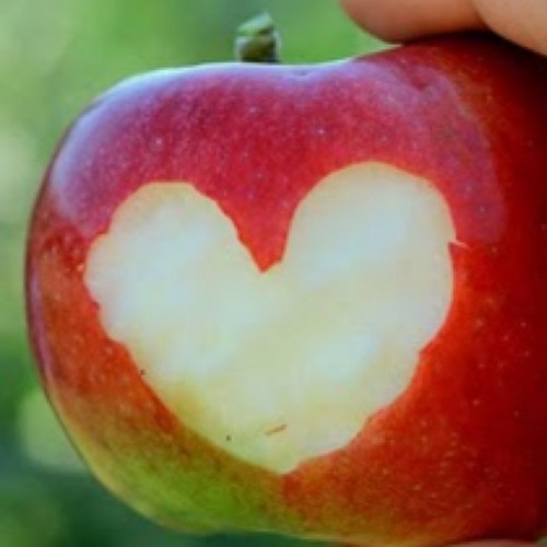 I follow back. I LOVE music and I think everybody has a good and amazing side!!! (Hehehehe instead of dark side- the song) also I love one direction!!