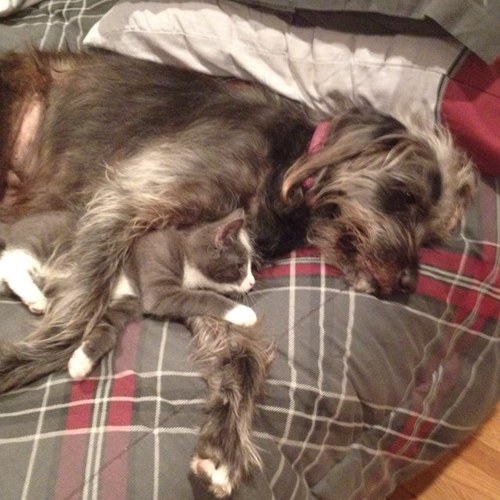 MicheleSelleck's profile picture. 