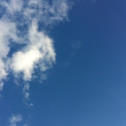 Flyingheros's profile picture. 