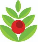 thenaturedoctor's profile picture. Solutions to health dilemmas provided by Mother Earth including Wholefood Matrix Nutrients, Moringa, Orgono Living Silica and Avesa Wellness Water Systems