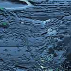 TDSBScience's profile picture. This is the Twitter site for Secondary Science, part of the Science & Technology Department at the Toronto District School Board.