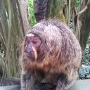 Paul Los - @paul_los - Twitter