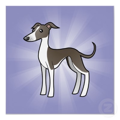 THE OFFICIAL TWITTER OF THE ITALIAN GREYHOUND... THE SMALLEST OF THE SIGHTHOUNDS.