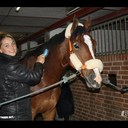 Sara Jespersen - @SaraJespersen1 - Twitter