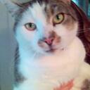 peter wild - @skimbel - Twitter