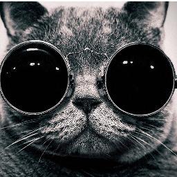 1_Version's profile picture. 