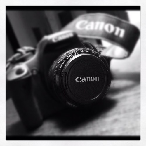 vitax77's profile picture. 