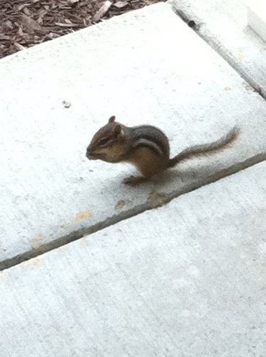 daVinciRobotDOC's profile picture. Author, Speaker, Physician and  Surgeon
Nutrition and Metabolic Medicine
STOP JOINT PAIN, AUTOIMMUNE DISEASE, ALLERGIES, REVERSE DIABETES, HYPERTENSION HEART Ds