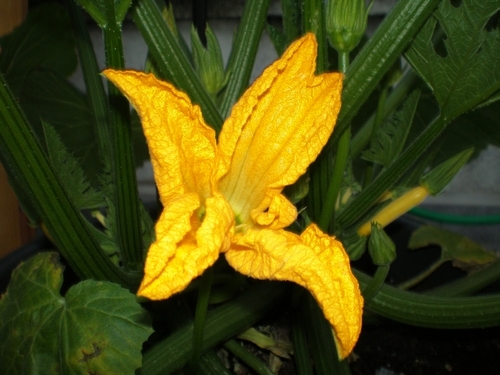 JensOloff's profile picture. 