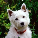 John Flohr - @flohr40 - Twitter