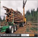 United States Logging Equipment Marketplace