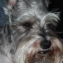 Chris Engle - @Ironmagz - Twitter