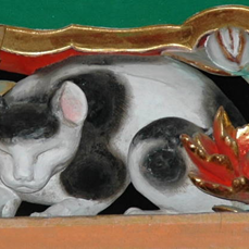 nemurineko_zero's profile picture. ロードバイクにトライアスロン、果てはMTBで王滝突入！！ですが実は運動音痴の練習嫌い！！増える体重と軽くなる機材の田舎のおばーさんです（笑）