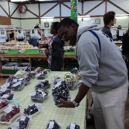 campbell_jaime's profile picture. 