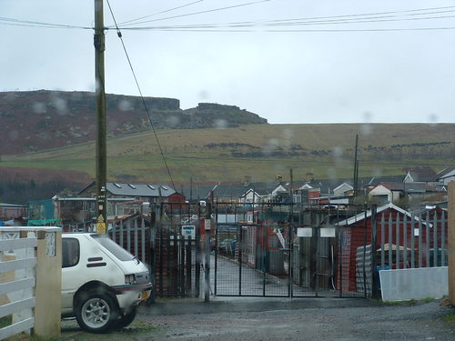 forestgrove27's profile picture. 