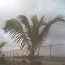 azaanomer - @azaanBinOmer - Twitter