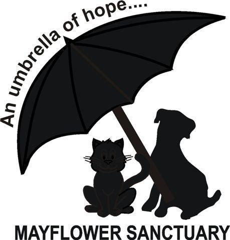 Mayflower Animal Sanctuary is a charity that rescues abused and abandoned dogs and cats. Last year we rescued nearly 500 animals. Volunteers always wanted.