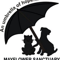 Mayflower Sanctuary (@mayfloweranimal) 's Twitter Profile