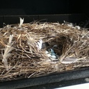 Ted Hofer - @HoferTed - Twitter