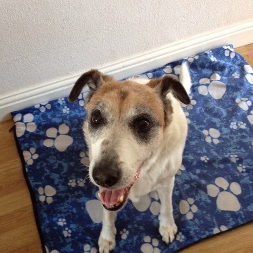 Emma97J's profile picture. Olly Murs :) xxx