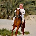 جامعي بدون شهاده (@0088Saf) Twitter
