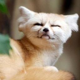 DmitryLensky's profile picture. Чуть чуть поэт, чуть чуть читатель, философ, критик и эстет, Я анимешник, рокер, обожаю классику и джаз. И идиот-романтик :)