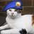 cassiepuss's profile image