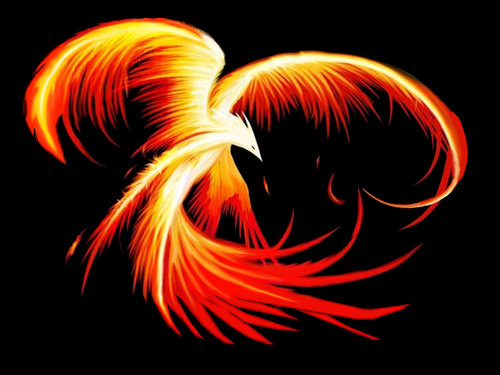 Inferno Expo & LAN-/inˈfərnō ˈekspō & LAN/
(noun) - The largest gaming LAN and digital Expo in South Africa 11 Jul - 13 Jul 2014 ICC Durban Exhibition Centre.