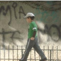 alcalalfredo's profile picture. Un Venezolano más,conocedor de nutrición molecular,agradecido de la Vida.Digno y orgullosamente independiente.