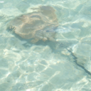 Kate Kilpatrick - @kikilpatrick1 - Twitter