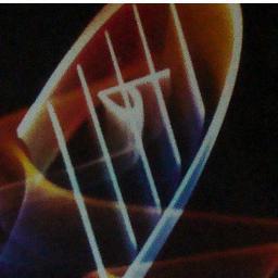 NotHaydn's profile picture. Opening ears to undiscovered local talent one post at a time. Honest reviews, media promotion. Send me your music . Chances are I feature you on my blog.