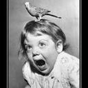 Kerry Cook - @skerrycook - Twitter