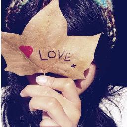 ㅤㅤ Donos; @Robiiin_Hood ㅤ &*; ㅤ @ingrid_pjl .. ㅤ Segue?  Fαlow-me!*  (: