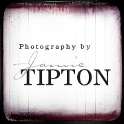 Photography by Jamie Tipton