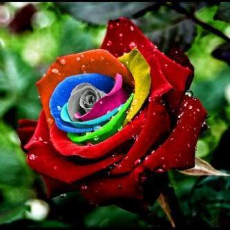 mapilokos's profile picture. 