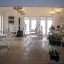 The Olive Grove - @tholivegrove - Twitter