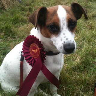 Devedwards's profile picture. I love tv. Especially mainstream nonsense.  All views are my own.