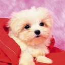 evelyn mackey - @EvelynMackey - Twitter