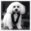 Rhonda Rosa - @HENRSMM - Twitter