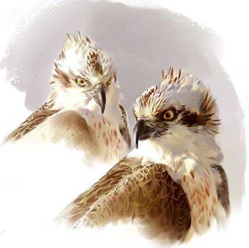 JULIAN70016's profile picture. Julián Fernando Escobar...