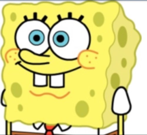 Spongefukshtup Profile Picture