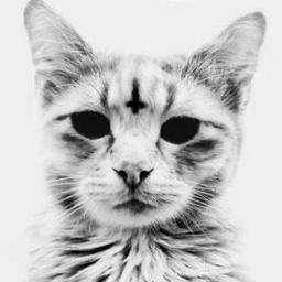 YUNG☥GATO