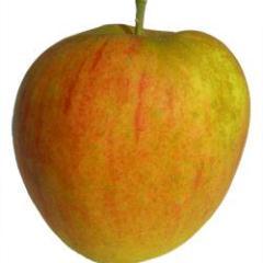 ribstonit's profile picture. Unofficial feed of IT related tweets to help students learn more about IT in society. The content does not necessarily reflect views of staff or students.